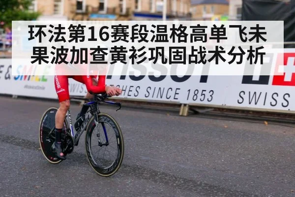 环法第16赛段温格高单飞未果波加查黄衫巩固战术分析