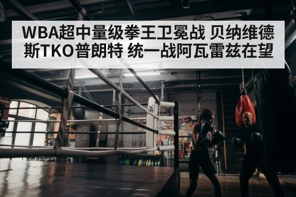 boxer training gym